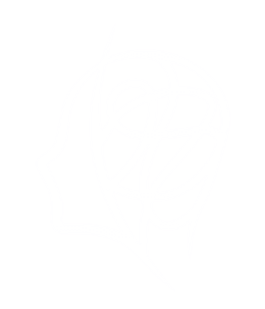 AINS 2024 | Second Edition logo